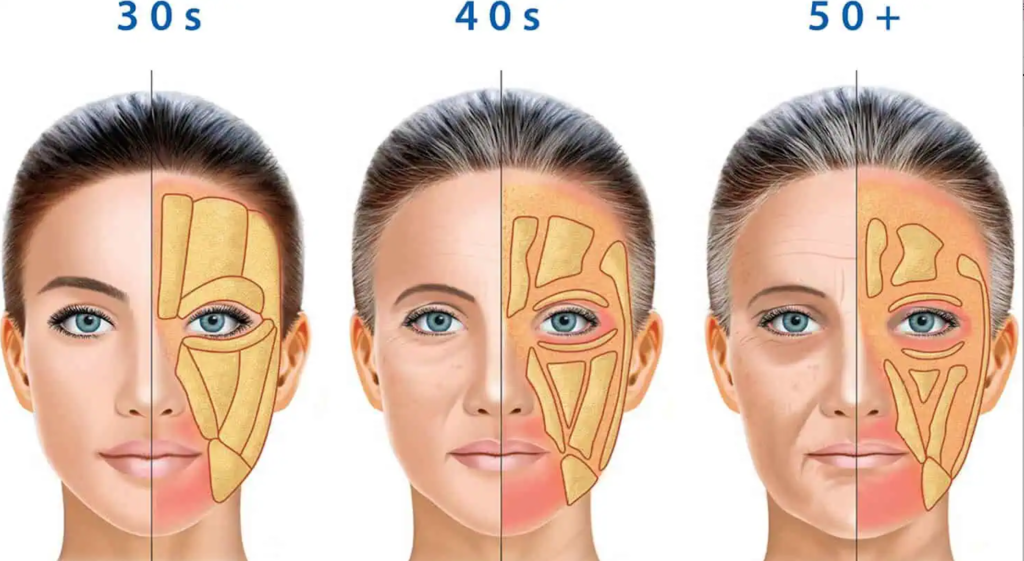 facial fat loss by age
